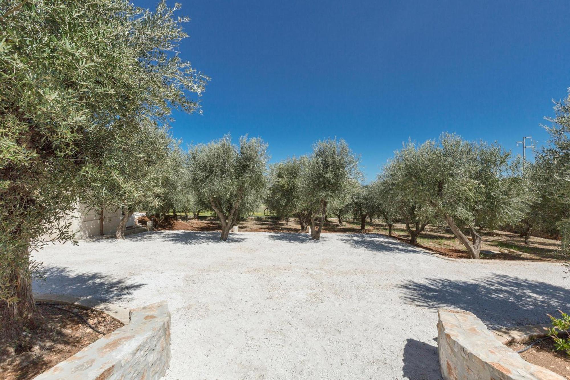 Trulli Ulivo Di Puglia By Barbarhouse Villa Selva Di Fasano Exteriör bild
